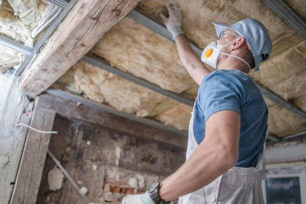Best Professional Insulation Contractor  in Plattsburgh, NY