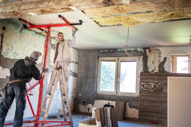 Best Wall Insulation Contractor  in Plattsburgh, NY